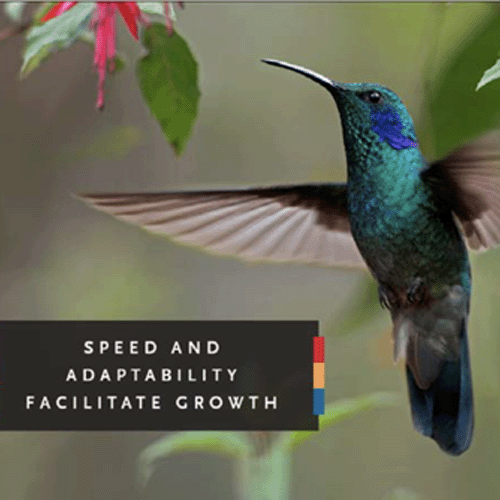 Captivating Advertising Campaigns